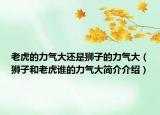 老虎的力氣大還是獅子的力氣大（獅子和老虎誰(shuí)的力氣大簡(jiǎn)介介紹）