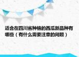 適合在四川省種植的西瓜新品種有哪些（有什么需要注意的問題）