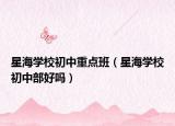 星海學(xué)校初中重點(diǎn)班（星海學(xué)校初中部好嗎）