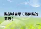酷似啥意思（酷似酷的意思）