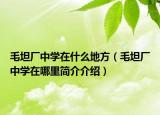毛坦廠中學(xué)在什么地方（毛坦廠中學(xué)在哪里簡介介紹）