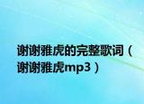 謝謝雅虎的完整歌詞（謝謝雅虎mp3）