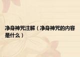 凈身神咒注解（凈身神咒的內(nèi)容是什么）