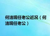 何潔現(xiàn)任老公近況（何潔現(xiàn)任老公）