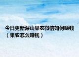 今日更新深山果農微信如何賺錢（果農怎么賺錢）