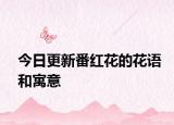 今日更新番紅花的花語和寓意
