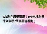 tvb劇在哪里看呀（tvb電視劇是什么意思?從哪里能看到）