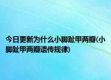 今日更新為什么小腳趾甲兩瓣(小腳趾甲兩瓣遺傳規(guī)律)