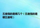五音指的是哪幾個（五音指的是哪五音呢）