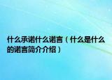 什么承諾什么諾言（什么是什么的諾言簡(jiǎn)介介紹）