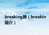 breaking舞（breakin簡介）