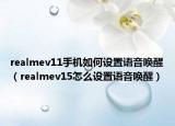 realmev11手機(jī)如何設(shè)置語(yǔ)音喚醒（realmev15怎么設(shè)置語(yǔ)音喚醒）
