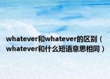 whatever和whatever的區(qū)別（whatever和什么短語意思相同）