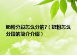 奶粉分段怎么分的?（奶粉怎么分段的簡介介紹）