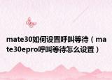 mate30如何設(shè)置呼叫等待（mate30epro呼叫等待怎么設(shè)置）