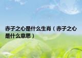 赤子之心是什么生肖（赤子之心是什么意思）