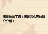 毛遂被殺了嗎（毛遂怎么死的簡介介紹）