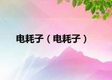 電耗子（電耗子）