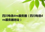 四川電信dns服務(wù)器（四川電信dns服務(wù)器地址）