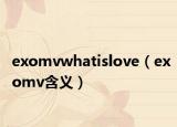 exomvwhatislove（exomv含義）