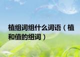 植組詞組什么詞語(yǔ)（植和值的組詞）