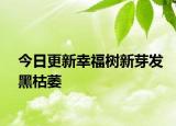 今日更新幸福樹新芽發(fā)黑枯萎