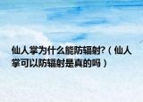 仙人掌為什么能防輻射?（仙人掌可以防輻射是真的嗎）