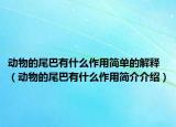 動物的尾巴有什么作用簡單的解釋（動物的尾巴有什么作用簡介介紹）