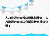 人力資源六大模塊具體指什么（人力資源六大模塊分別是什么簡介介紹）