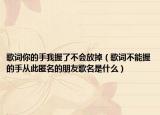 歌詞你的手我握了不會(huì)放掉（歌詞不能握的手從此匿名的朋友歌名是什么）