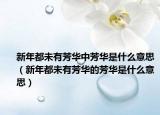 新年都未有芳華中芳華是什么意思（新年都未有芳華的芳華是什么意思）