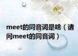 meet的同音詞是啥（請問meet的同音詞）