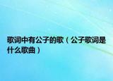 歌詞中有公子的歌（公子歌詞是什么歌曲）