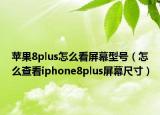 蘋果8plus怎么看屏幕型號（怎么查看iphone8plus屏幕尺寸）