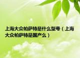 上海大眾帕薩特是什么型號（上海大眾帕薩特是國產(chǎn)么）