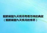 鯤鵬展翅九天攬?jiān)掠兄鯓拥牡涔剩H鵬展翅九天攬?jiān)碌囊馑迹? /></span></a>
                        <h2><a href=