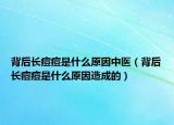 背后長(zhǎng)痘痘是什么原因中醫(yī)（背后長(zhǎng)痘痘是什么原因造成的）