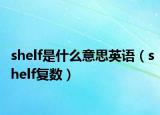 shelf是什么意思英語（shelf復(fù)數(shù)）