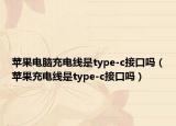 蘋果電腦充電線是type-c接口嗎（蘋果充電線是type-c接口嗎）