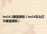 ios14.2暴露通知（ios14怎么打開暴露通知）