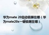 華為mate 20自動鎖屏在哪（華為mate20x一鍵鎖屏在哪）