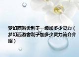 夢幻西游舍利子一級加多少靈力（夢幻西游舍利子加多少靈力簡介介紹）