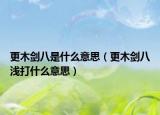 更木劍八是什么意思（更木劍八淺打什么意思）