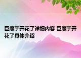 巨魔芋開花了詳細(xì)內(nèi)容 巨魔芋開花了具體介紹