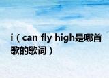 i（can fly high是哪首歌的歌詞）