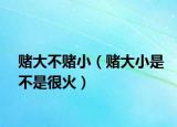 賭大不賭?。ㄙ€大小是不是很火）
