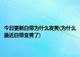 今日更新白帶為什么發(fā)黃(為什么最近白帶變黃了)