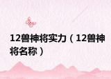 12獸神將實(shí)力（12獸神將名稱）
