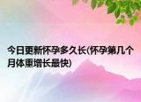 今日更新懷孕多久長(懷孕第幾個月體重增長最快)