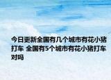 今日更新全國有幾個城市有花小豬打車 全國有5個城市有花小豬打車對嗎